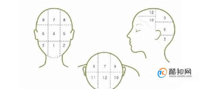 ��ѧ�������ż�������